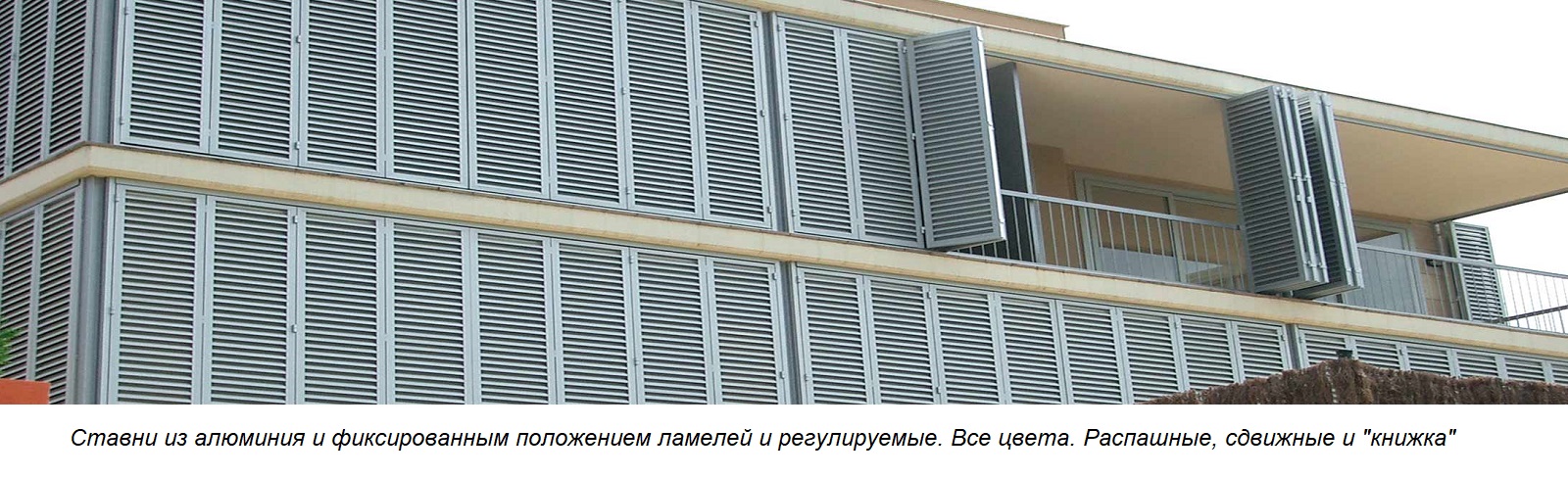 много ставен на здании белого цвета ставни